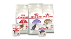 Feline Care Nutrition gatti