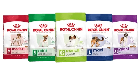 Size Health Nutrition cani