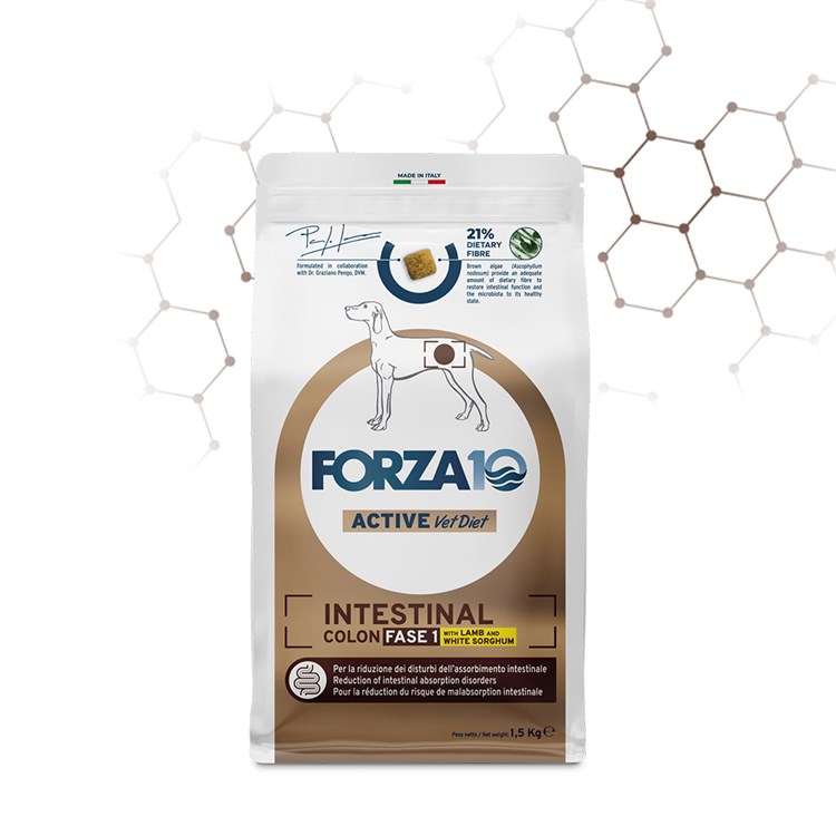 Forza 10 Intestinal Colon Fase 1 Agnello Sorgo 10 kg Per Cani