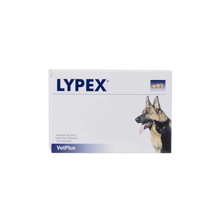 Lypex Capsule