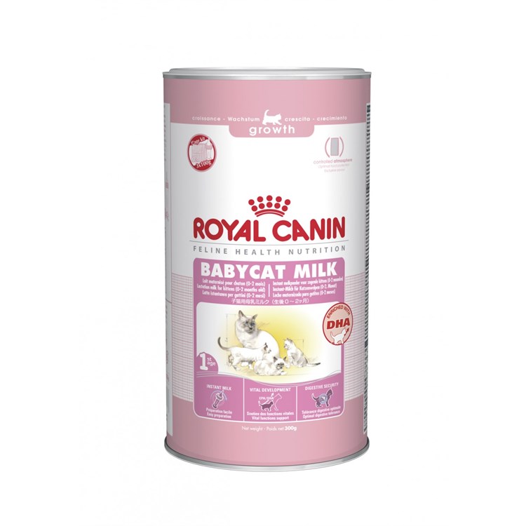 Royal Canin BABY CAT Milk gatto gr 300 Latte in polvere