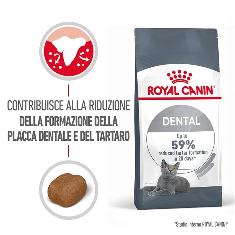 Royal Canin Dental Care 1,5 kg per Gatto