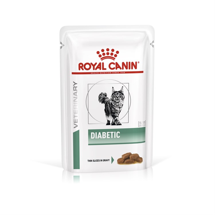 Royal Canin Diabetic 85 gr Bustina Umido Gatto