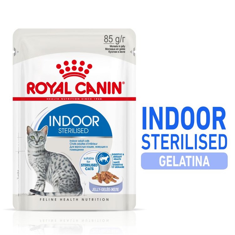 Royal Canin Indoor Sterilised Jelly 85 gr In Gelatina Per Gatti