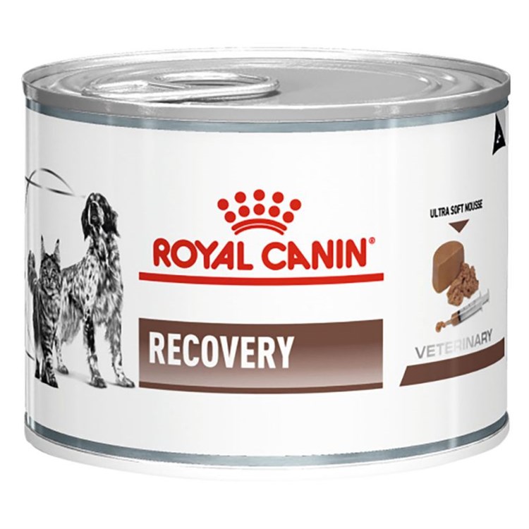 Royal Canin Recovery Veterinary Diet 195 gr Cane e Gatto
