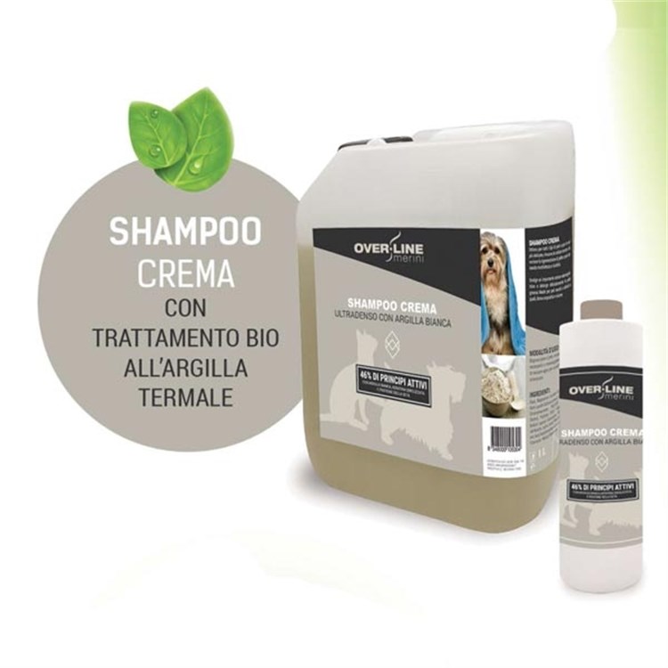 Shampoo Ristrutturante Pro Active 46