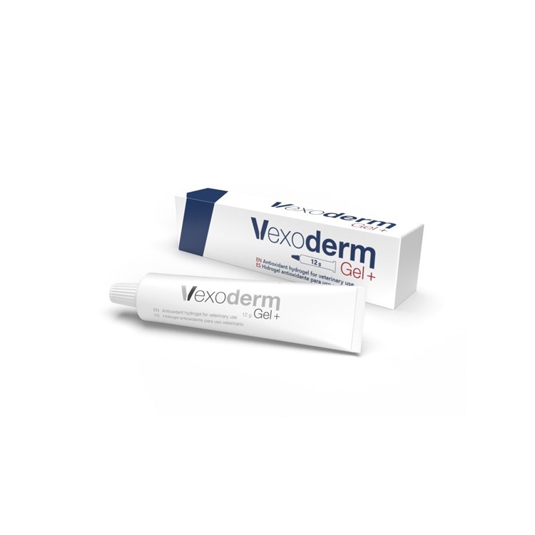 VEXODERM GEL PIU' 12 GR