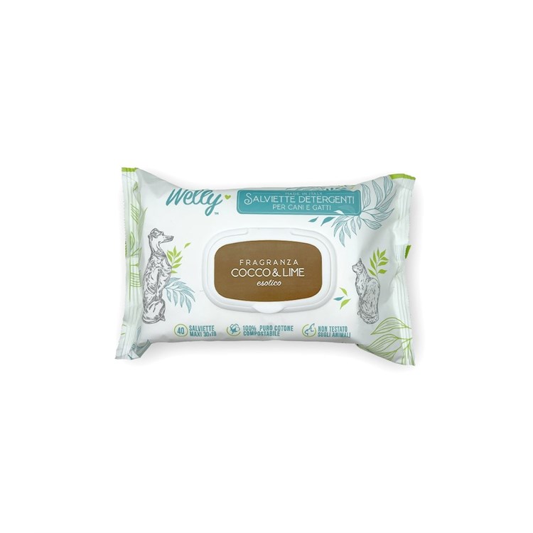 WELLY SALVIETTE DETERGENTI ESOTICHE  COCCO & LIME 40 PZ