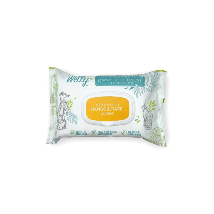 WELLY SALVIETTE DETERGENTI FRUTTATE  MANGO & TIARE' 40 PZ